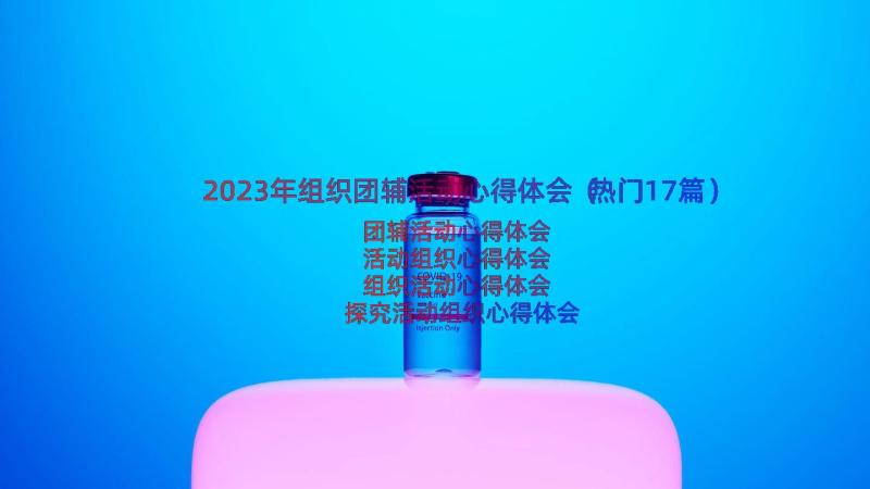 2023年组织团辅活动心得体会（热门17篇）