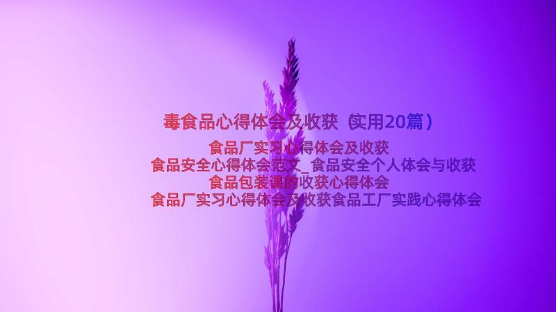 毒食品心得体会及收获（实用20篇）