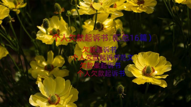 个人欠款起诉书（汇总16篇）