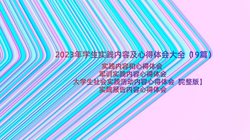 2023年学生实践内容及心得体会大全（19篇）