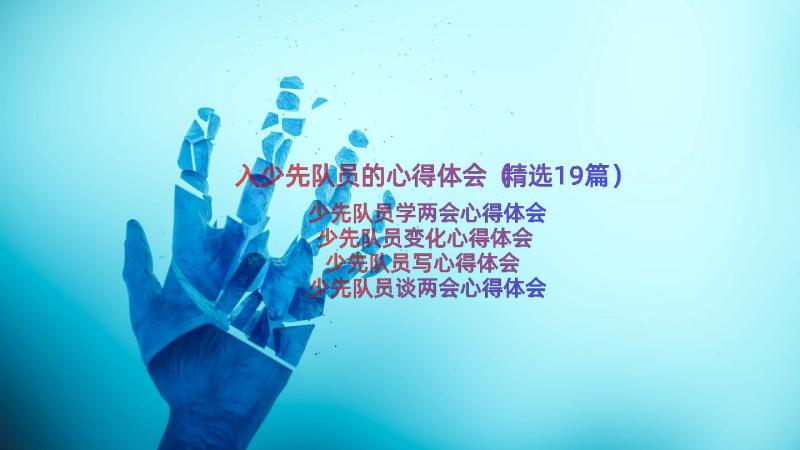 入少先队员的心得体会（精选19篇）