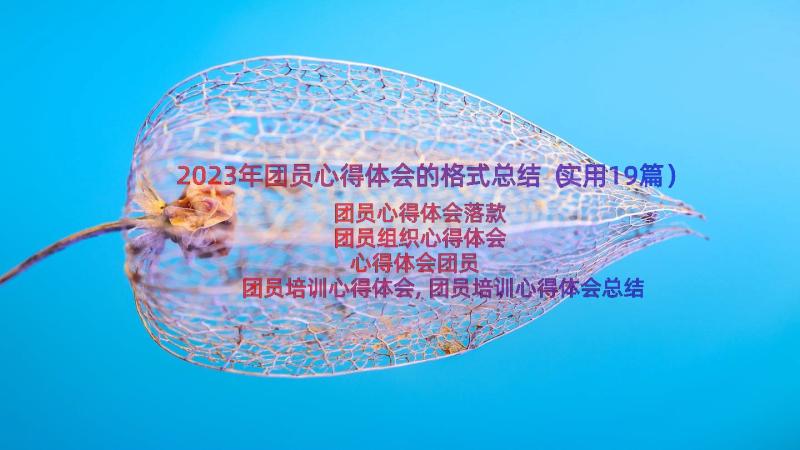 2023年团员心得体会的格式总结（实用19篇）