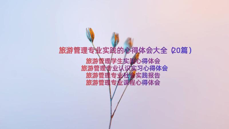 旅游管理专业实践的心得体会大全（20篇）