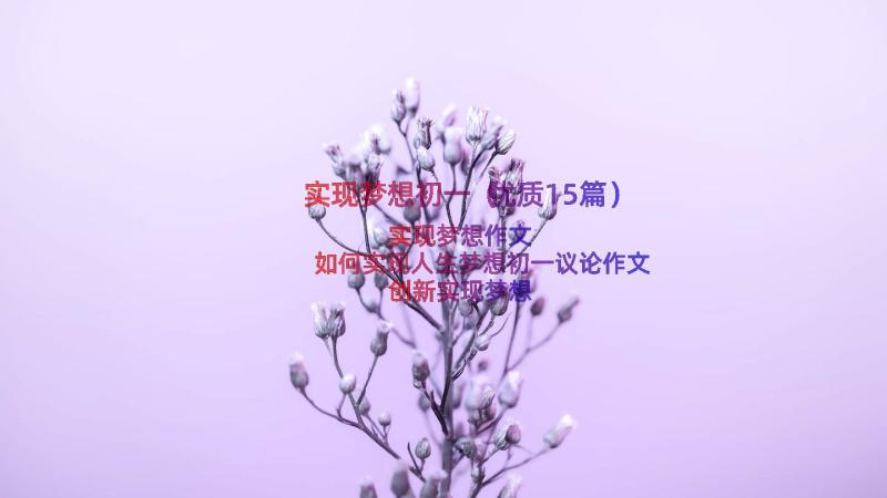 实现梦想初一（优质15篇）