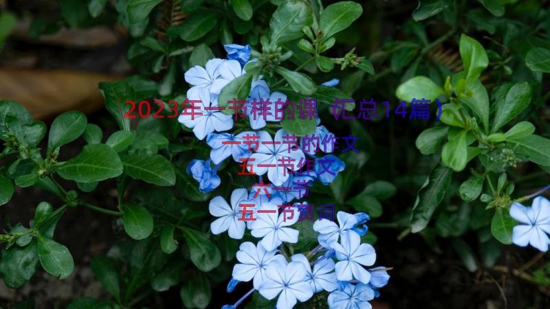 2023年一节样的课（汇总14篇）