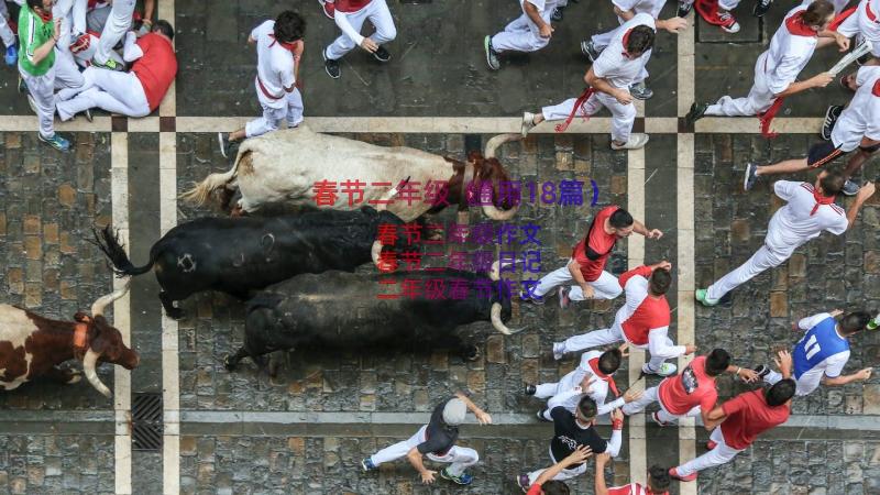 春节二年级（通用18篇）