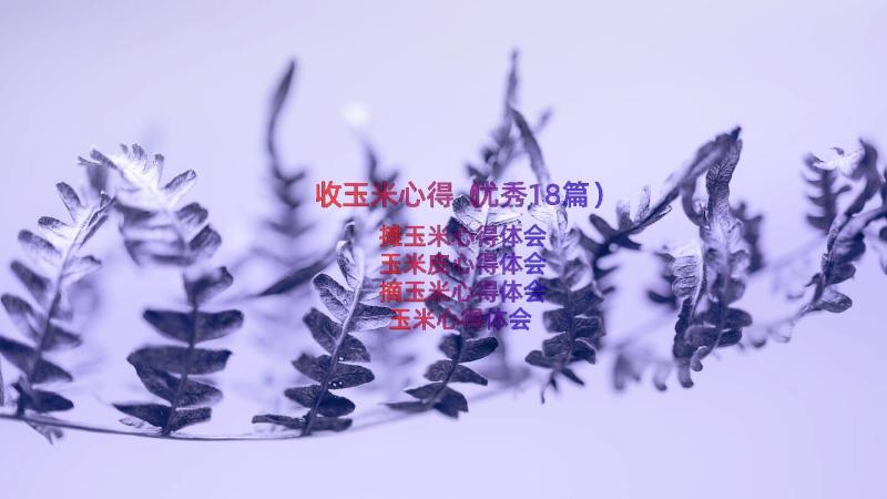 收玉米心得（优秀18篇）