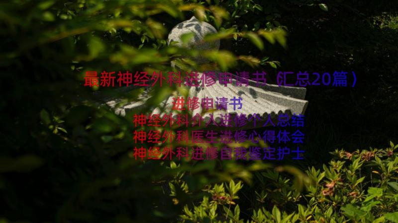 最新神经外科进修申请书（汇总20篇）