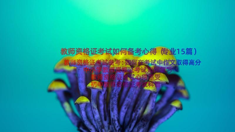 教师资格证考试如何备考心得（专业15篇）