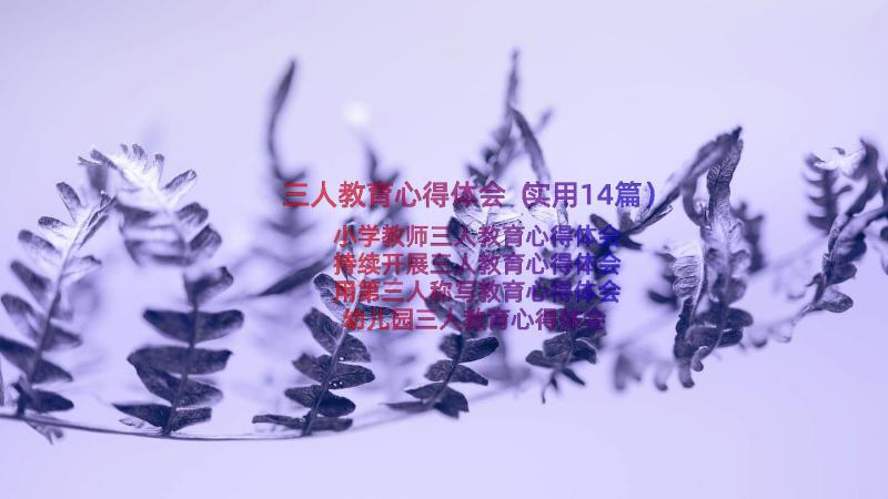 三人教育心得体会（实用14篇）