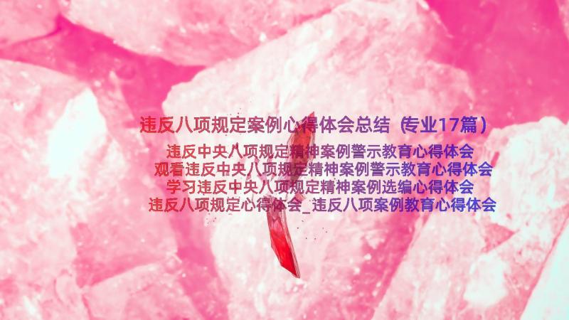 违反八项规定案例心得体会总结（专业17篇）