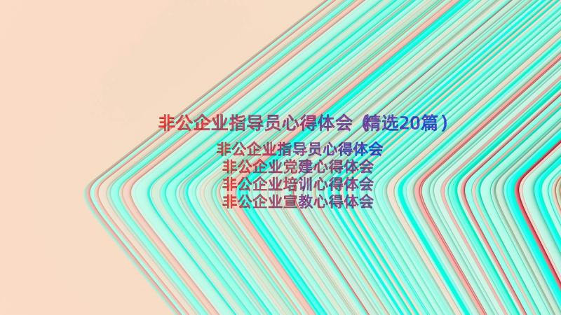 非公企业指导员心得体会（精选20篇）