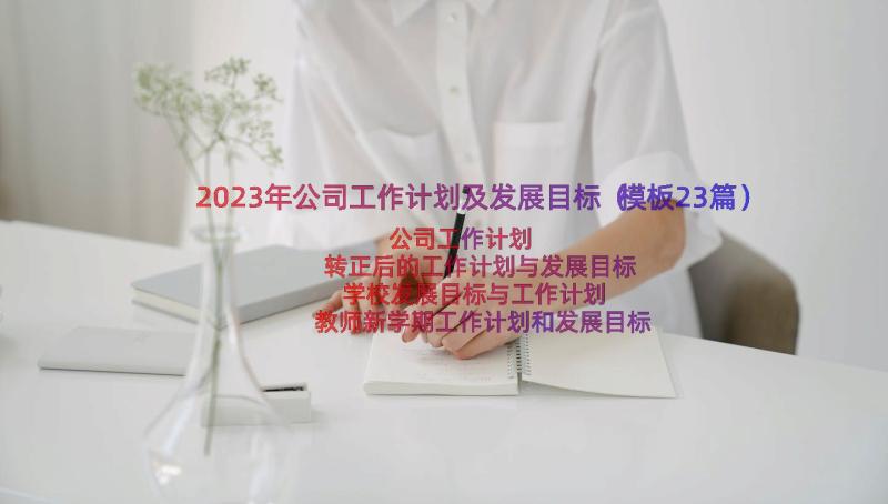 2023年公司工作计划及发展目标（模板23篇）