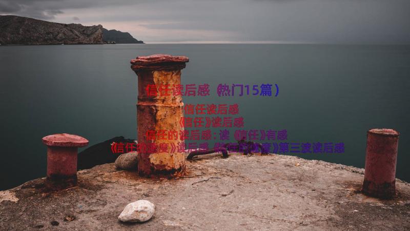 信任读后感（热门15篇）