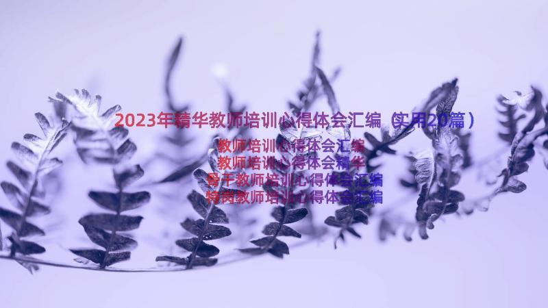 2023年精华教师培训心得体会汇编（实用20篇）