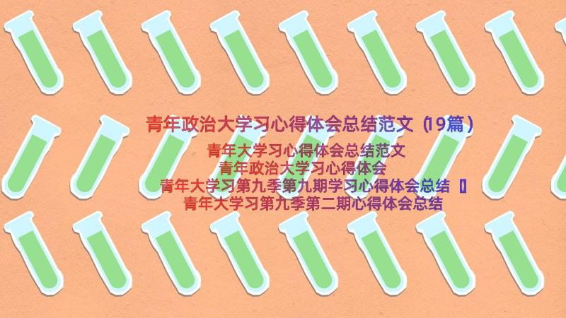 青年政治大学习心得体会总结范文（19篇）