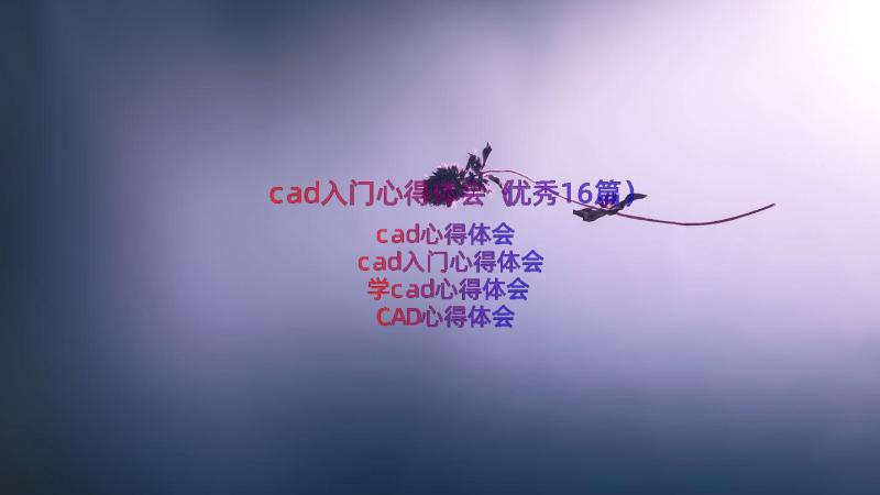 cad入门心得体会（优秀16篇）