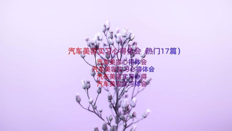 汽车美容实习心得体会（热门17篇）