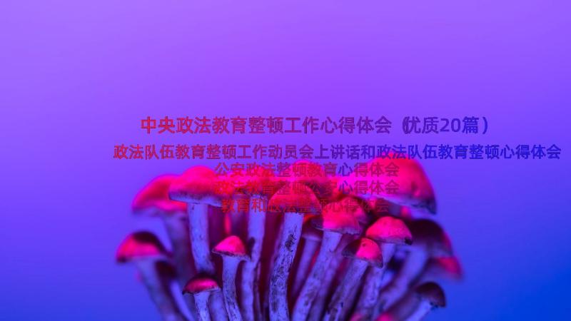 中央政法教育整顿工作心得体会（优质20篇）