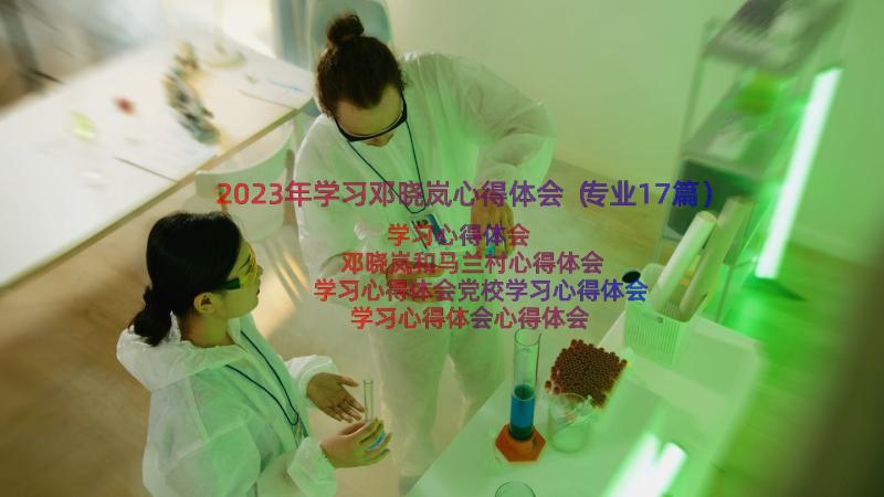 2023年学习邓晓岚心得体会（专业17篇）