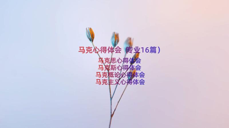 马克心得体会（专业16篇）