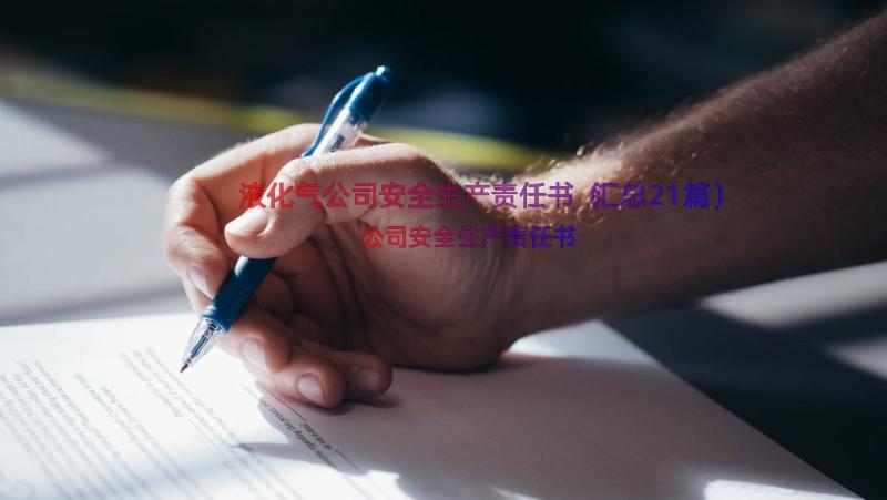 液化气公司安全生产责任书（汇总21篇）