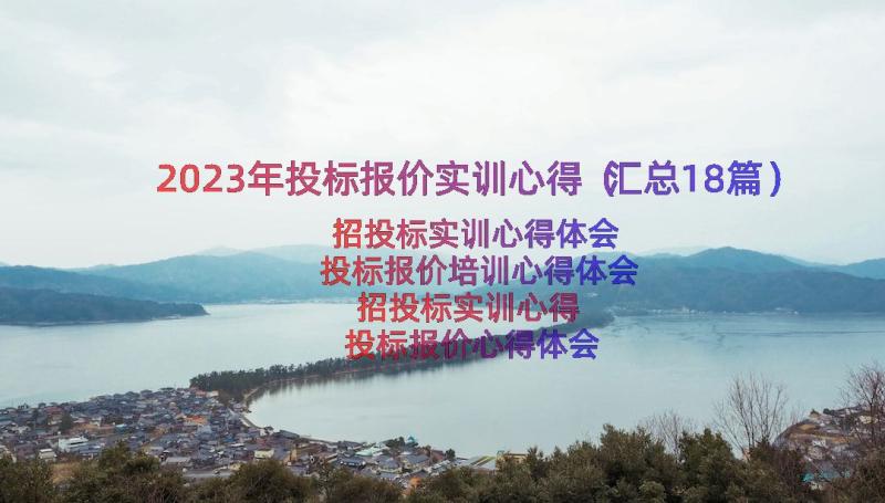 2023年投标报价实训心得（汇总18篇）