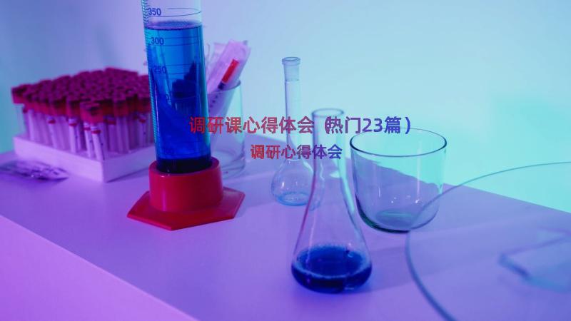 调研课心得体会（热门23篇）