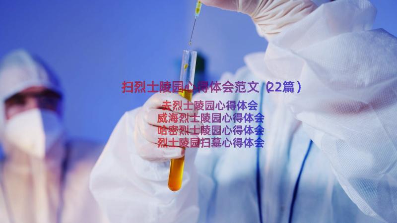 扫烈士陵园心得体会范文（22篇）