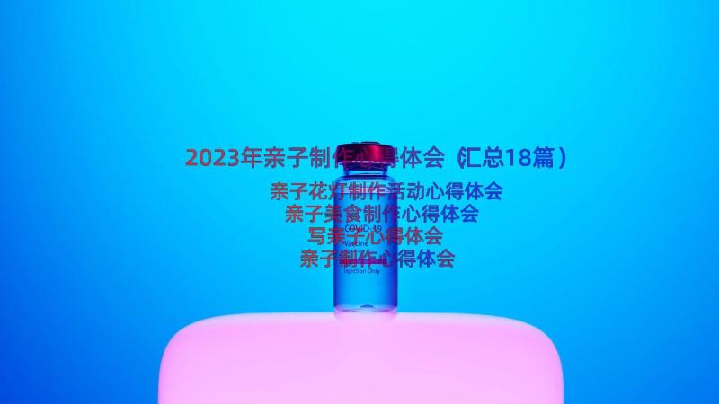 2023年亲子制作心得体会（汇总18篇）