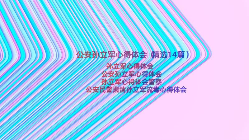 公安孙立军心得体会（精选14篇）