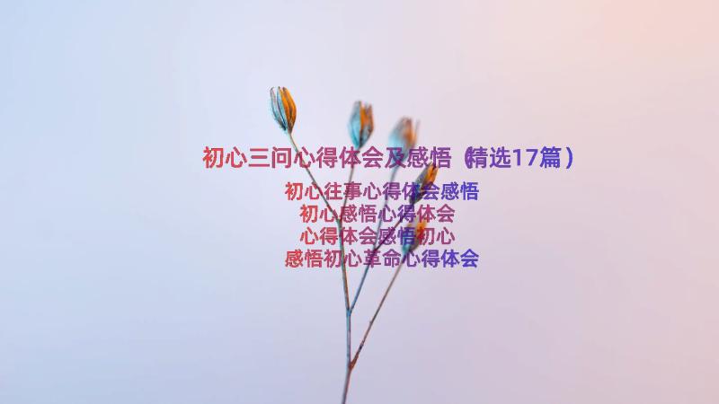 初心三问心得体会及感悟（精选17篇）