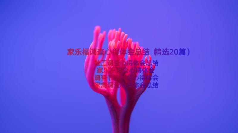 家乐福调查心得体会总结（精选20篇）