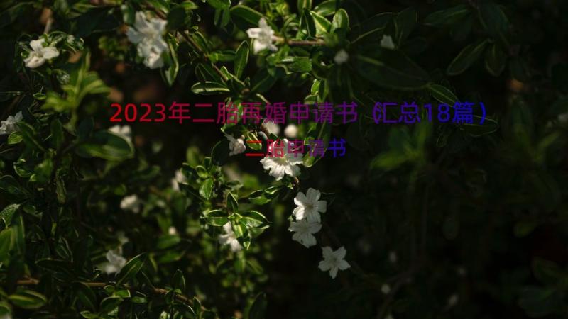 2023年二胎再婚申请书（汇总18篇）