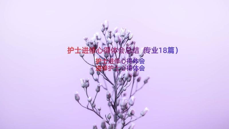 护士进修心得体会总结（专业18篇）