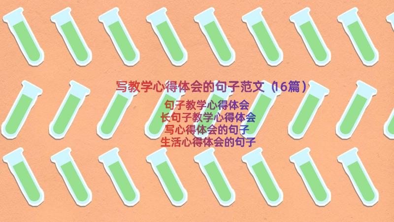 写教学心得体会的句子范文（16篇）