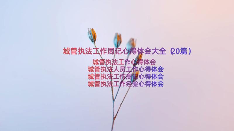 城管执法工作周记心得体会大全（20篇）