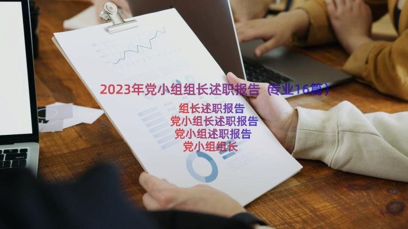 2023年党小组组长述职报告（专业16篇）