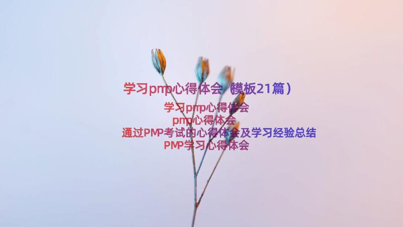 学习pmp心得体会（模板21篇）