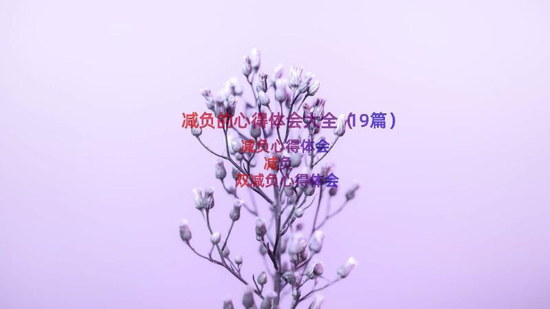 减负的心得体会大全（19篇）