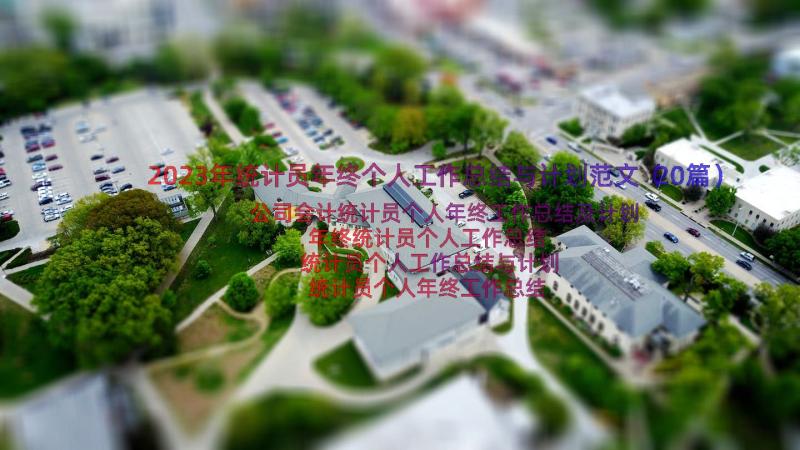 2023年统计员年终个人工作总结与计划范文（20篇）