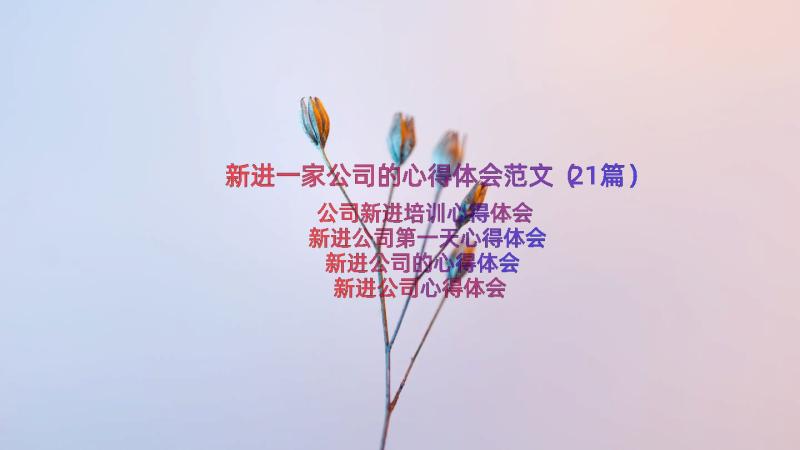 新进一家公司的心得体会范文（21篇）