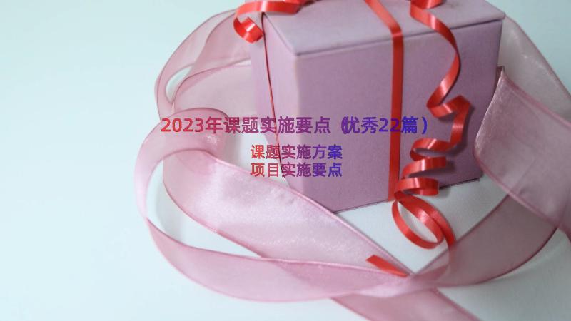 2023年课题实施要点（优秀22篇）