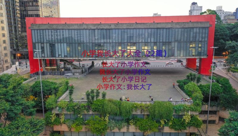 小学我长大了大全（22篇）