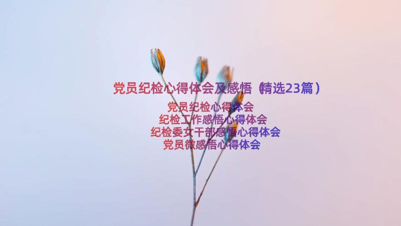 党员纪检心得体会及感悟（精选23篇）