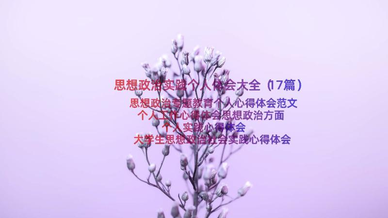 思想政治实践个人体会大全（17篇）