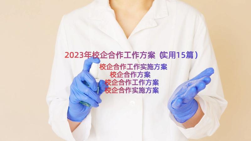 2023年校企合作工作方案（实用15篇）