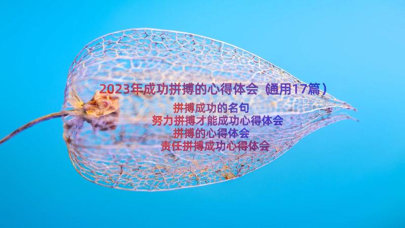 2023年成功拼搏的心得体会（通用17篇）