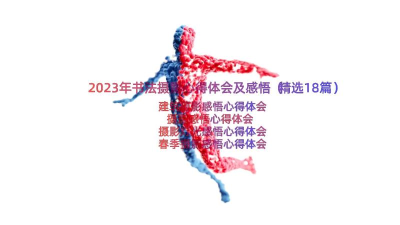 2023年书法摄影心得体会及感悟（精选18篇）