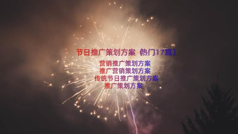 节日推广策划方案（热门17篇）